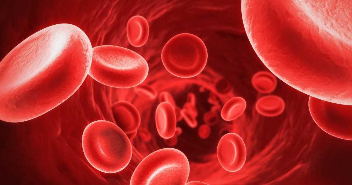 Thiếu oxy trong máu là gì? Nguyên nhân, dấu hiệu và cách phòng tránh