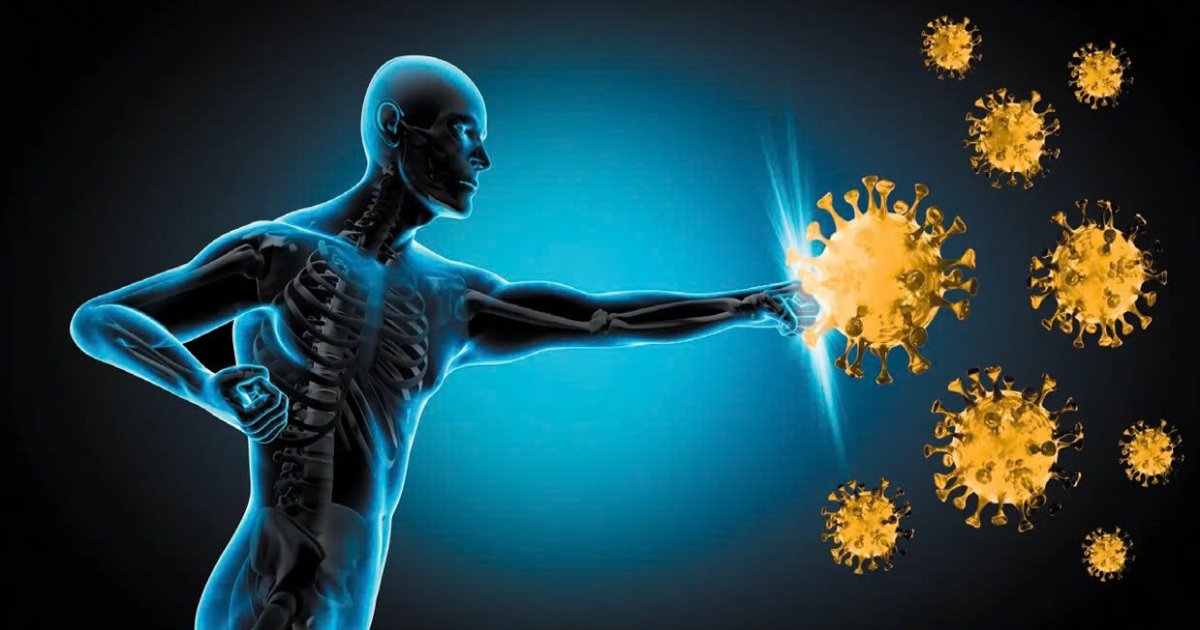 5 cách tăng hệ miễn dịch cho người lớn đã được chứng minh