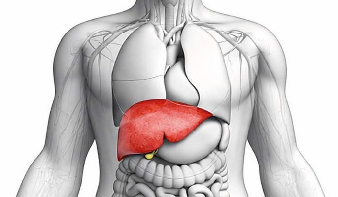 Thải độc gan phổi