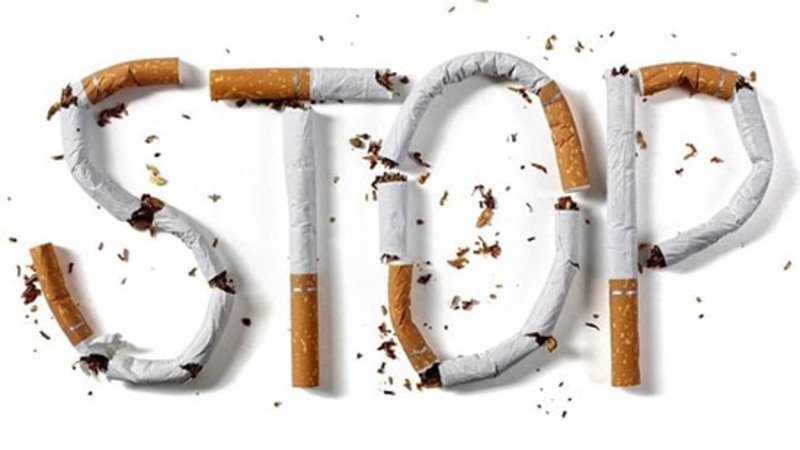 Tránh khói thuốc và ô nhiễm môi trường để bảo vệ hệ thống cơ quan gan - phổi Tránh khói thuốc và ô nhiễm môi trường để bảo vệ hệ thống cơ quan gan - phổi