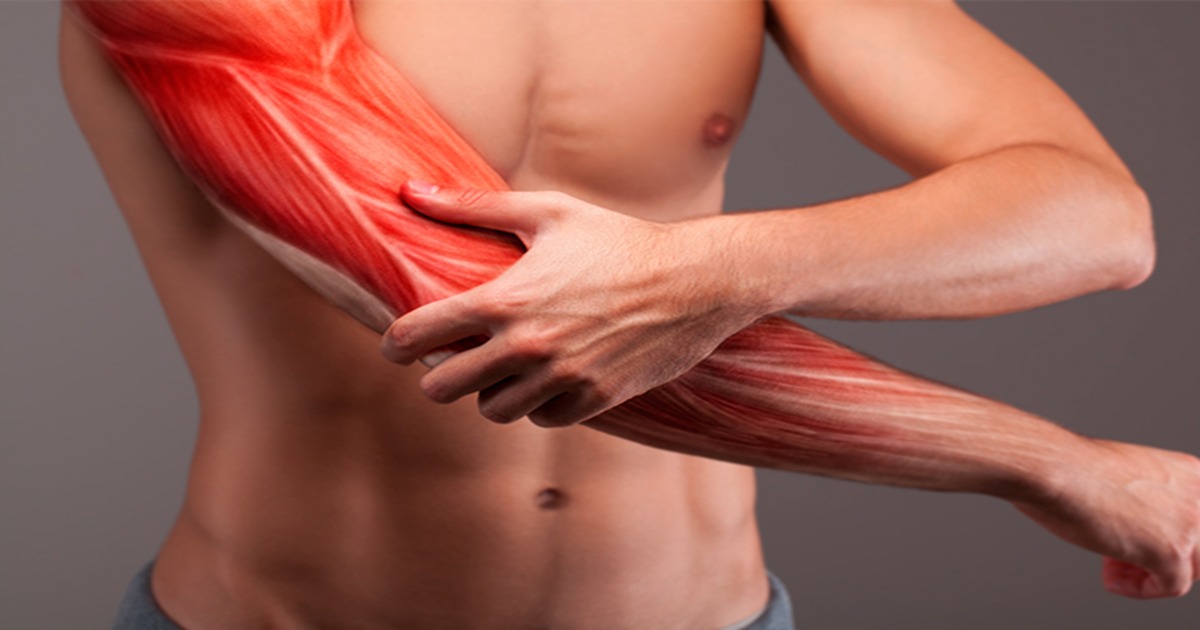 Trẻ hóa tế bào cơ: Bí quyết phục hồi sức mạnh cực nhanh