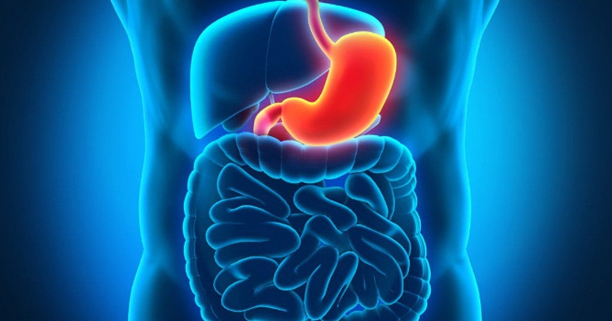 Trẻ hóa tế bào dạ dày: Điều ít người biết về phục hồi gốc