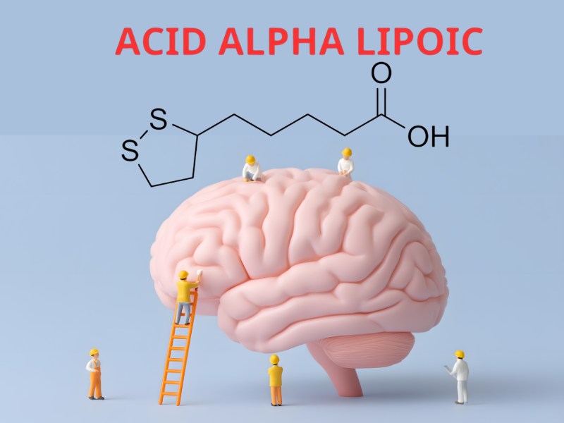 Tối ưu hóa khả năng ALA tăng nhạy Insulin cho não nhờ sinh khả dụng có thể lên tới 100%