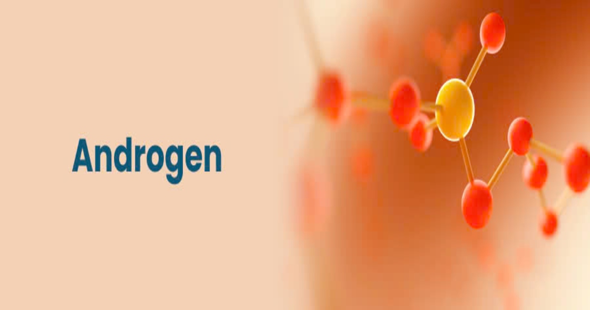 Androgen có tác dụng gì? 6 tác dụng quan trọng cho da và tóc