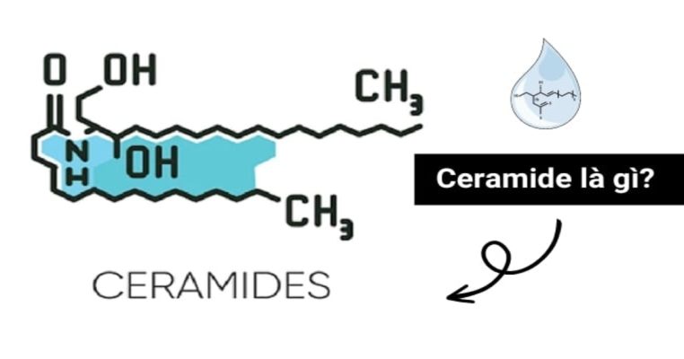 Ceramide là gì? Lá chắn giúp da khỏe, chậm lão hóa