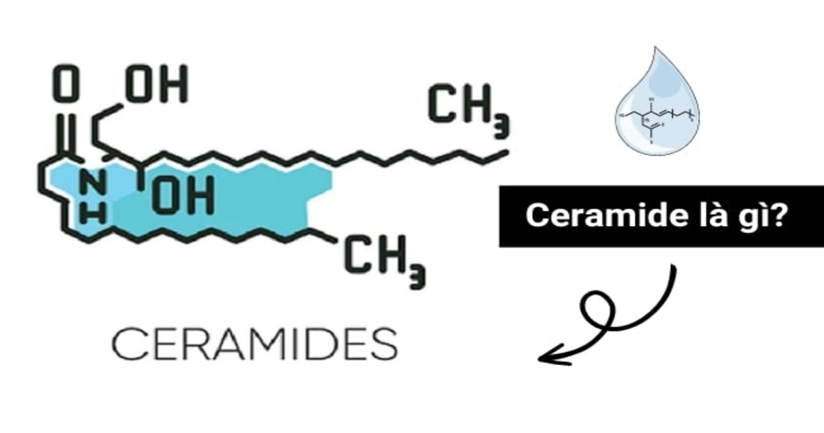 Ceramide là gì? Lá chắn giúp da khỏe, chậm lão hóa