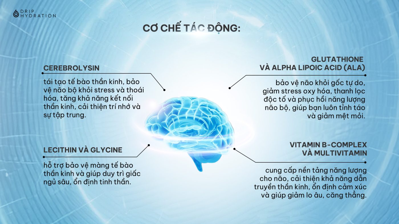 Cơ chế tác động của liệu pháp truyền Brain Power IV Drip