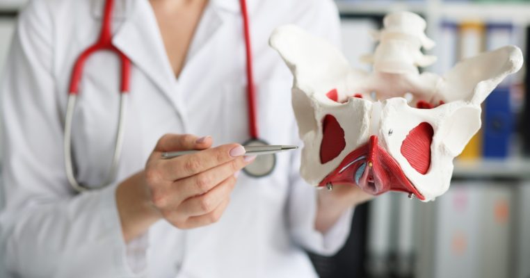 Cơ sàn chậu có tác dụng gì mà khi suy yếu, cơ thể bắt đầu “mất kiểm soát”?