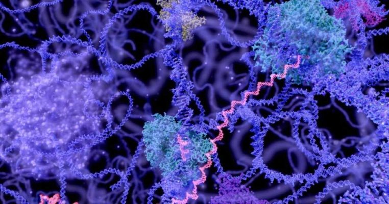 Enzyme trẻ hóa: Bí quyết làm chậm lão hóa từ bên trong cơ thể