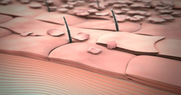 Keratinocyte - Nhân tố quyết định khả năng tái tạo và phục hồi da