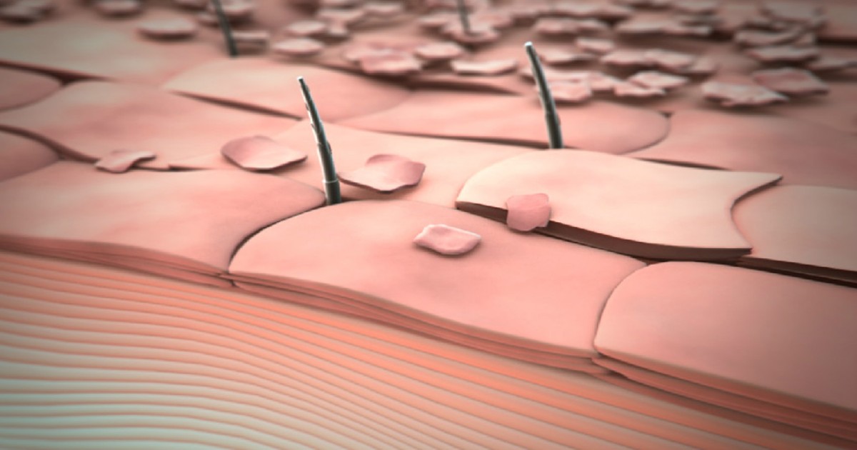 Keratinocyte - Nhân tố quyết định khả năng tái tạo và phục hồi da