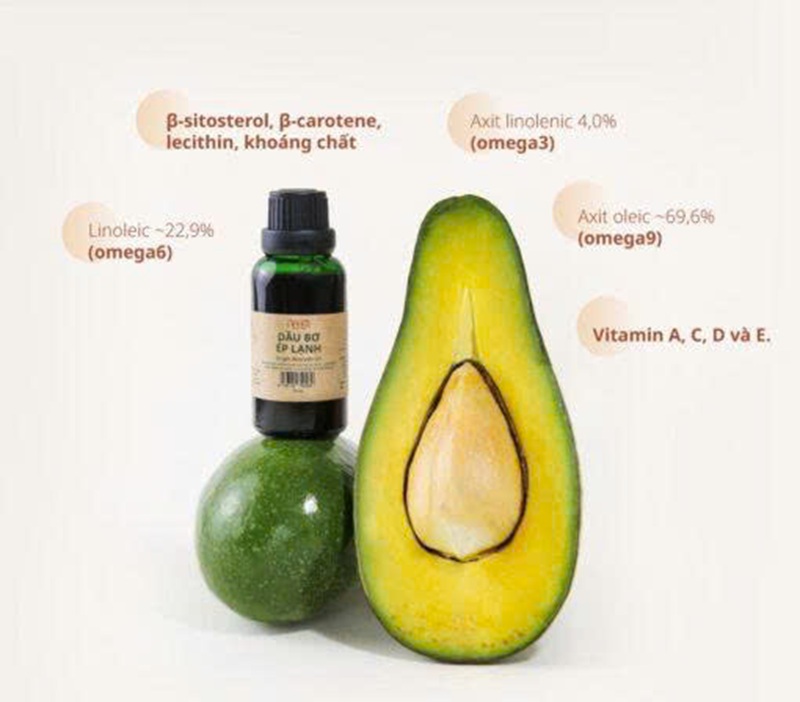 Tinh dầu bơ có nhiều vitamin và acid béo tốt cho da (Ảnh: Sưu tầm internet)