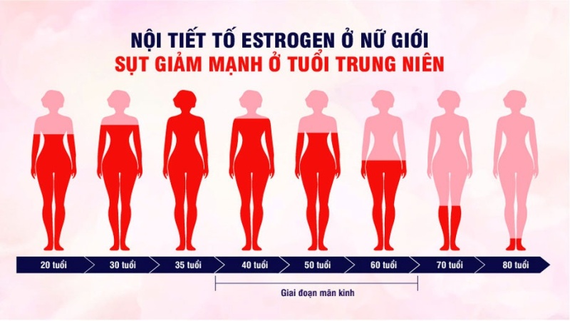 Nội tiết tố thay đổi theo tuổi không diễn ra đột ngột mà tiến triển theo từng giai đoạn sinh học rõ ràng (Ảnh: Sưu tầm Internet)