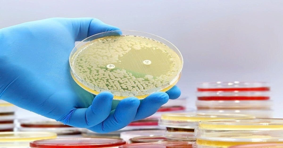 Peptide kháng khuẩn - Bí mật bảo vệ da hiệu quả