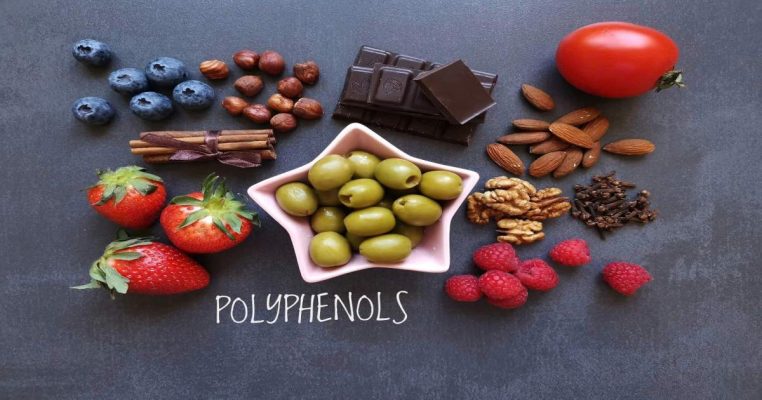 Polyphenol – chìa khóa chống lão hóa da từ cấp độ tế bào