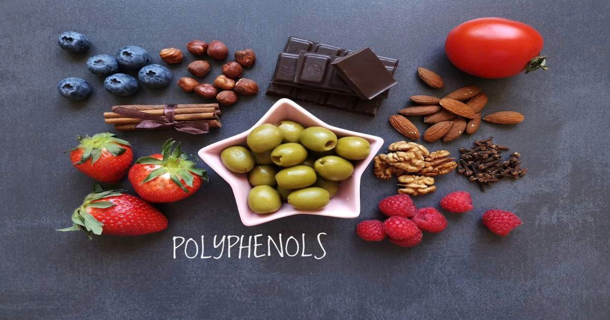 Polyphenol – chìa khóa chống lão hóa da từ cấp độ tế bào