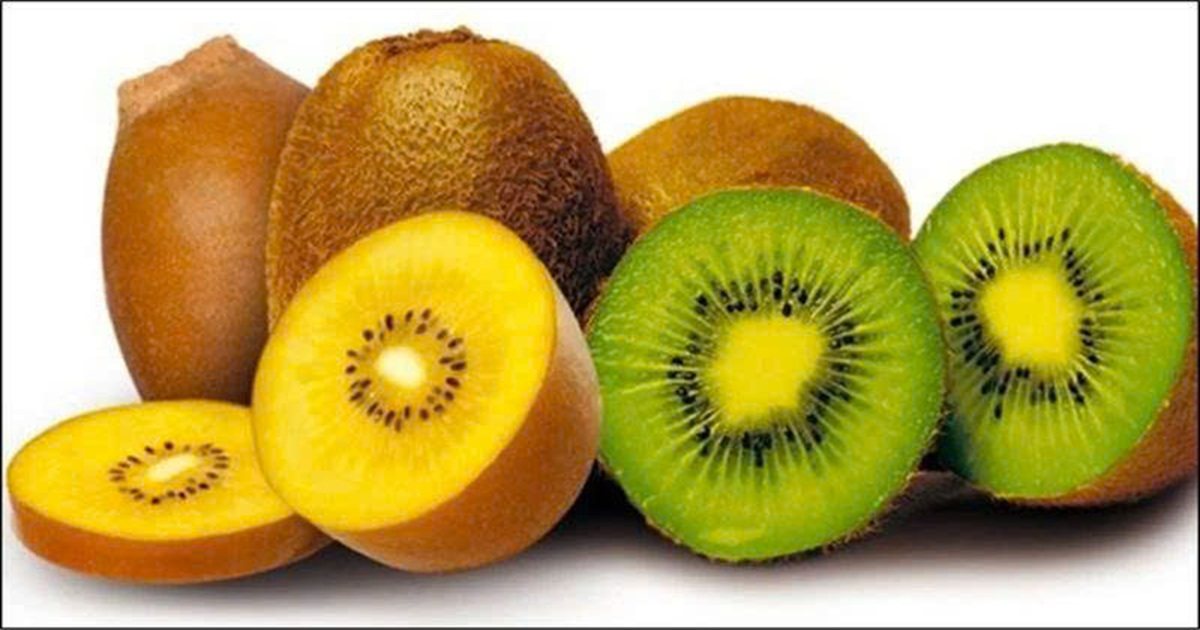 Quả kiwi có tác dụng gì cho da? Bí mật chống lão hóa ít ai biết