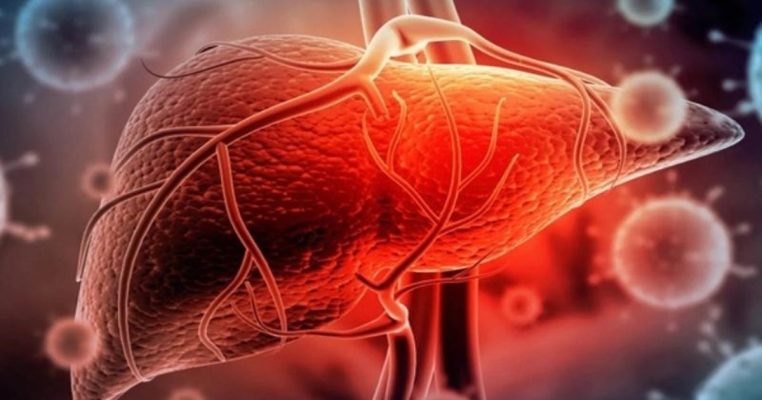 Thải độc gan đúng cách: Nguyên tắc vàng để tránh quá tải gan