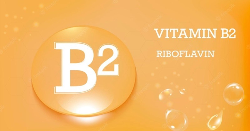 Công dụng của vitamin B2: Bí mật giúp cơ thể tràn năng lượng