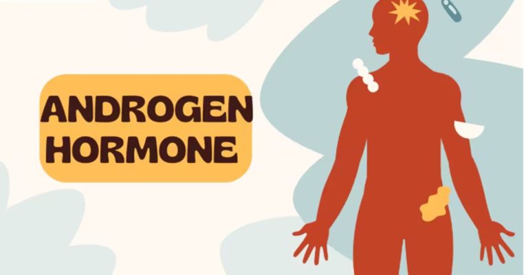 Nguyên nhân tăng tiết androgen ở nữ giới theo y khoa