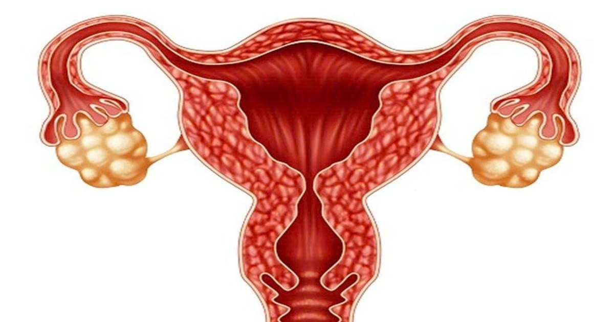 Dự trữ buồng trứng và AMH: Chìa khóa cho tương lai làm mẹ