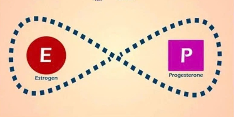 Rối loạn hormone estrogen và progesterone là nguyên nhân gây ra nám nội tiết (Ảnh: Sưu tầm internet)