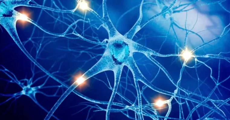 Acetylcholine là gì? Vì sao thiếu hụt gây suy giảm trí nhớ