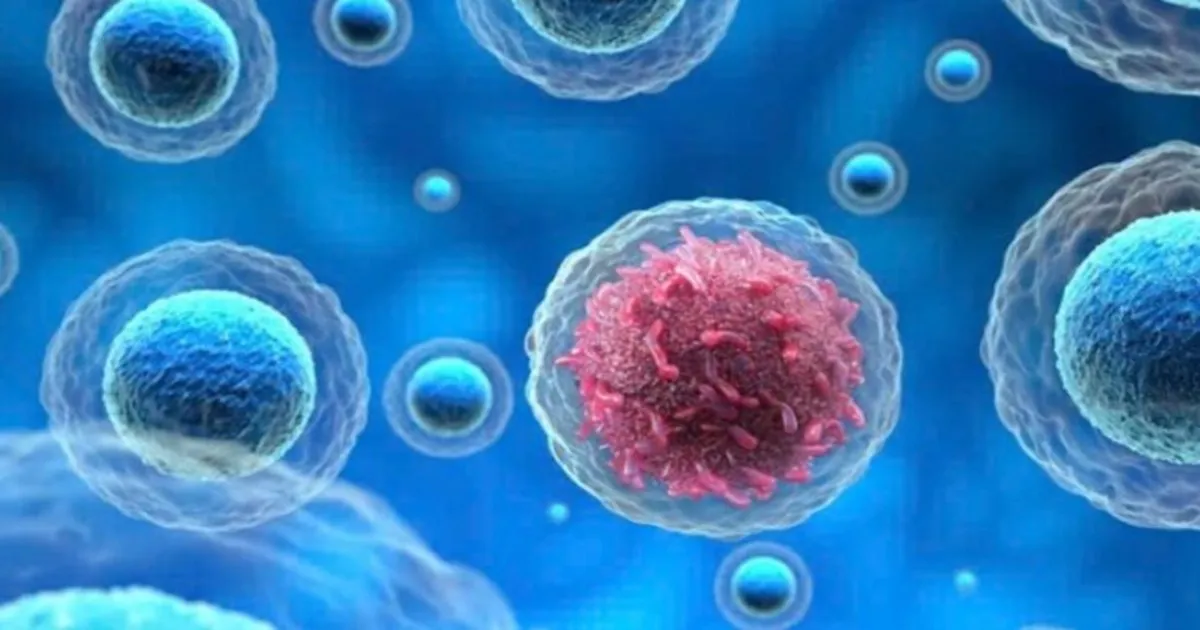 Gốc tự do trên da là gì? Hiểu đúng để da không lão hóa