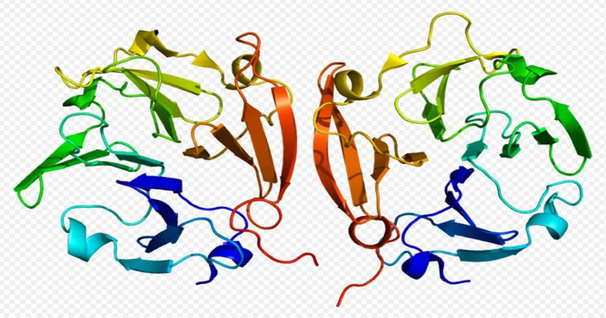 Matrix Metalloproteinase: Sự thật phía sau nếp nhăn