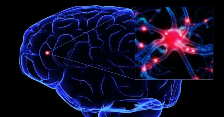 Chất dẫn truyền thần kinh: Bí mật chi phối cảm xúc và trí nhớ