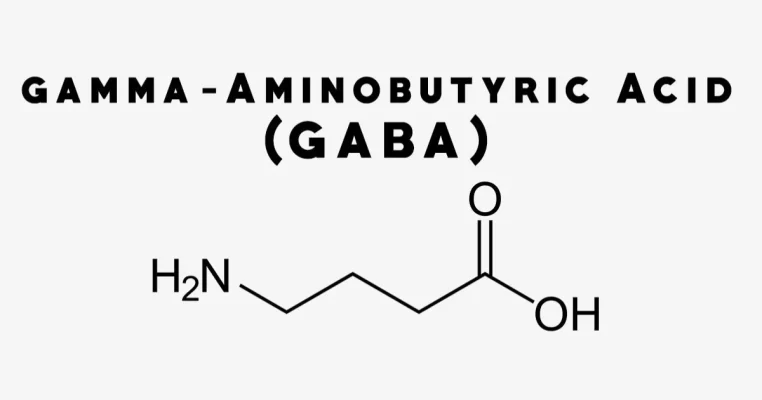 Gamma aminobutyric acid là gì? Tác động não bộ ra sao?