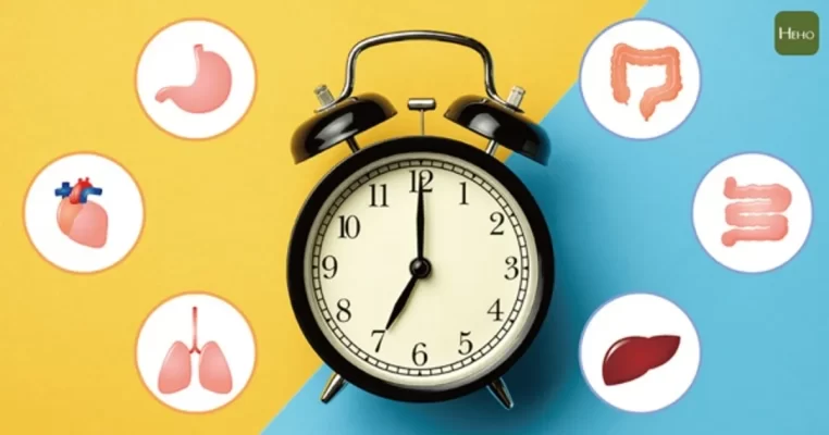 Dấu hiệu gan đang thải độc - Nhận biết sớm