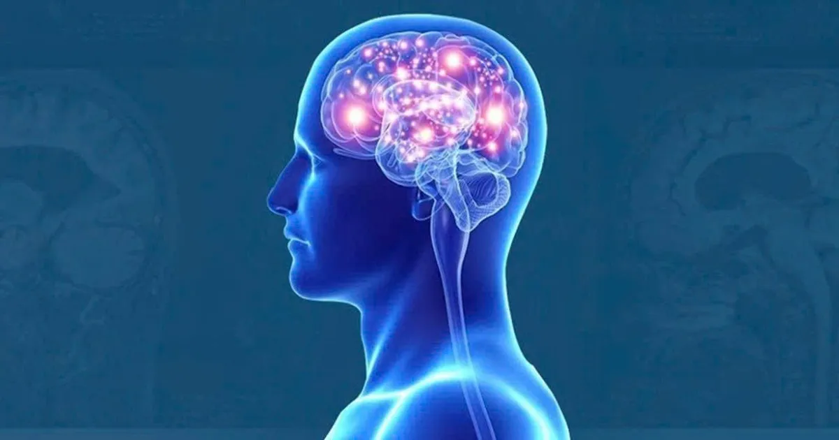 Glutamate có tác dụng gì? Vai trò đối với não bộ và sức khỏe thần kinh