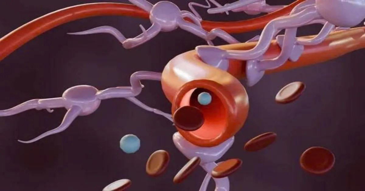 Hàng rào máu não - Lá chắn hay rào cản điều trị?