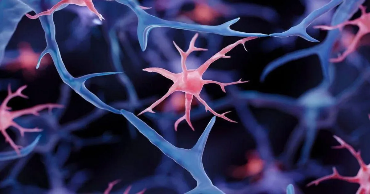 Microglia là gì? Bí mật tế bào miễn dịch não