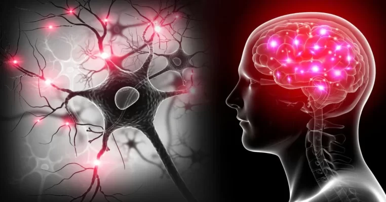 Neurogenesis - Bí mật giúp não bộ “tái sinh”