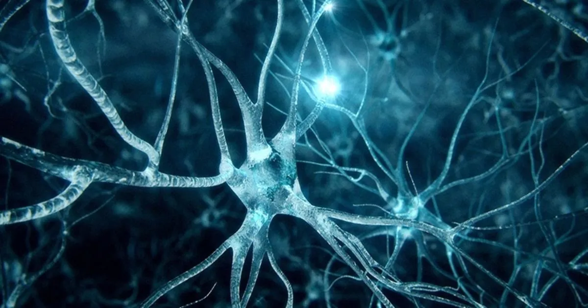 Neuron thần kinh và vòng đời: Bật mí cách giúp não luôn minh mẫn