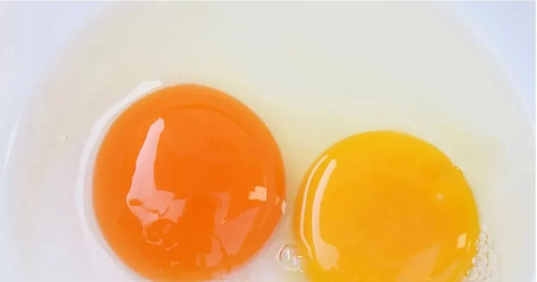 Tác dụng lòng trắng trứng gà với da mặt: Hiểu đúng để da đẹp