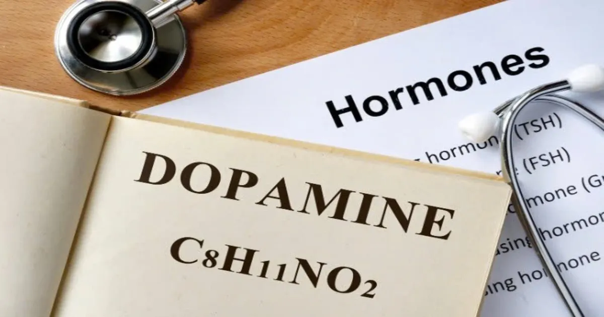 Hormone Dopamine là gì? Vì sao được gọi là “hormone hạnh phúc”?