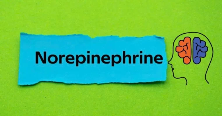 Hormone norepinephrine có tác dụng gì? Chìa khóa giúp não tỉnh táo và chống stress