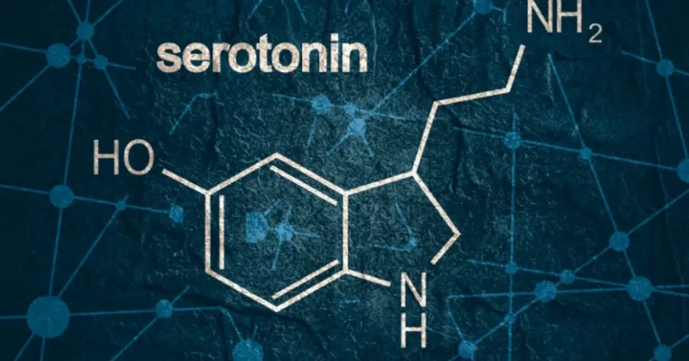 Serotonin có tác dụng gì? Khám phá vai trò với sức khỏe