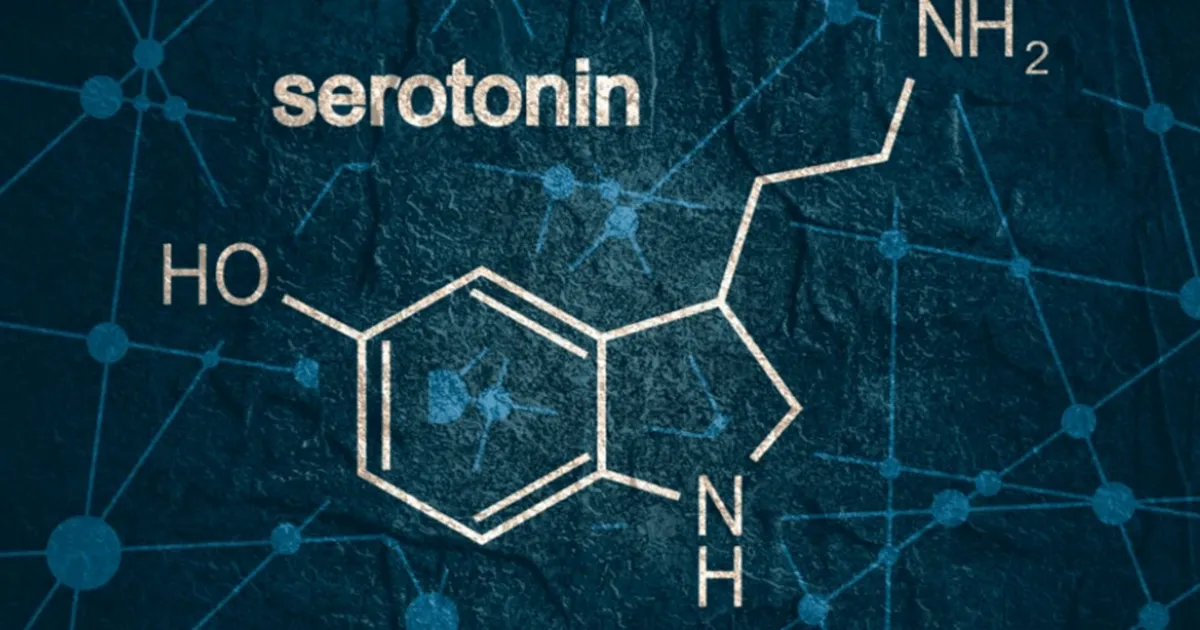 Serotonin có tác dụng gì? Khám phá vai trò với sức khỏe