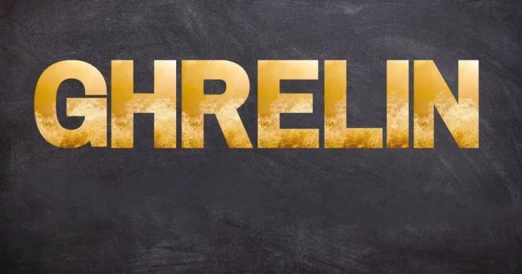Hormone Ghrelin là gì? Bí mật kiểm soát cơn đói và não bộ hiệu quả