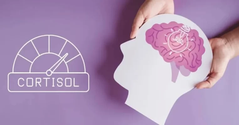 Hormone cortisol: Cảnh báo nguy cơ sức khỏe bạn bỏ qua