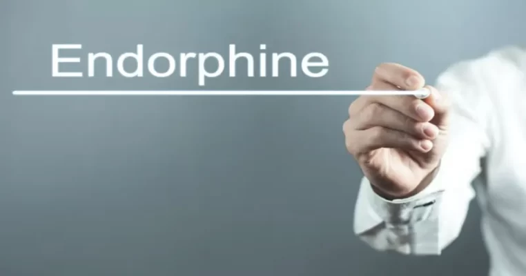Hormone endorphin có tác dụng gì? Sự thật về hormone hạnh phúc