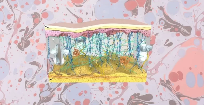 Ma trận ngoại bào
