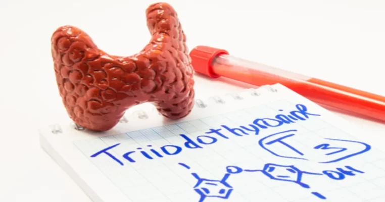 Hormone T3: Vai trò và cơ chế ảnh hưởng sức khỏe