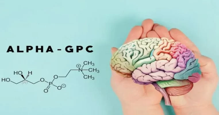 Alpha-GPC - Hợp chất vàng hỗ trợ tăng cường trí não