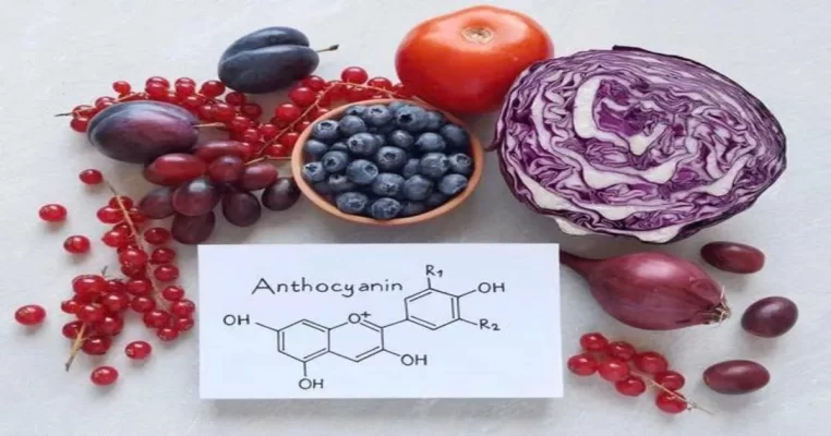 Anthocyanins - Bí mật tăng cường trí não tự nhiên