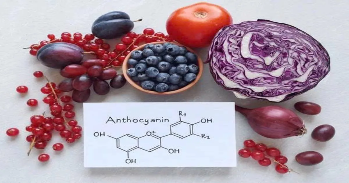 Anthocyanins - Bí mật tăng cường trí não tự nhiên